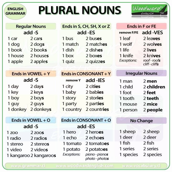 Free Irregular Plural Nouns Worksheet Plural Nouns In English Regular and Irregular Plural Nouns