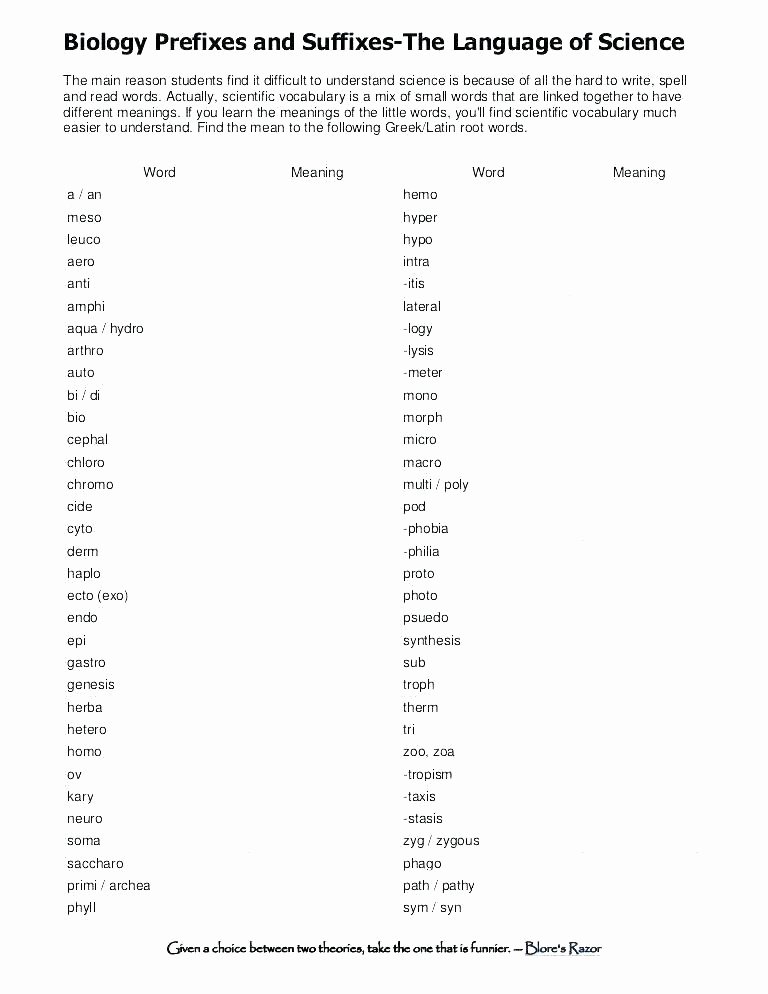 Free Prefix and Suffix Worksheets Prefix Worksheets 2nd Grade Free Printable Suffix Prefixes