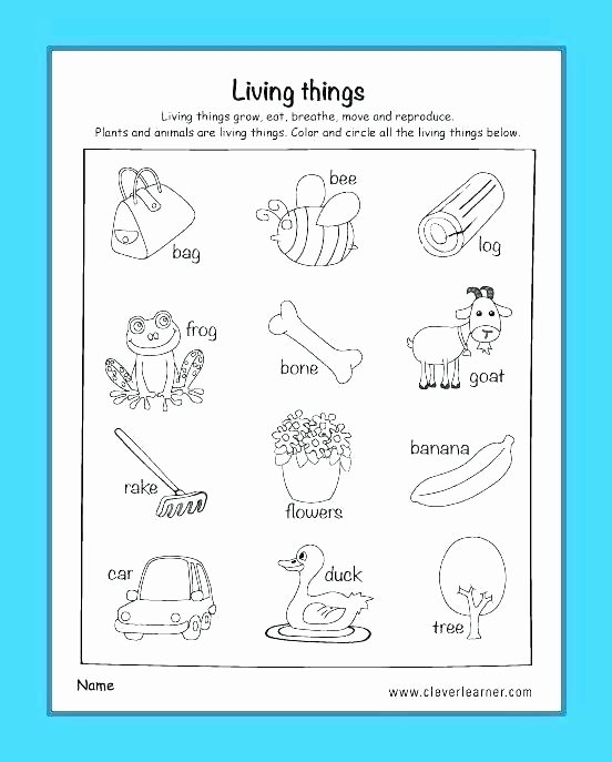 Free Printable Five Senses Worksheets Kindergarten Science Worksheets