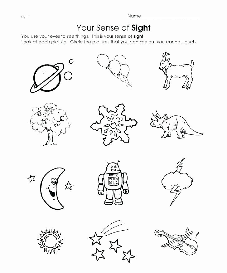 Free Printable Five Senses Worksheets My Five Senses Worksheets Preschool Free Printable Number
