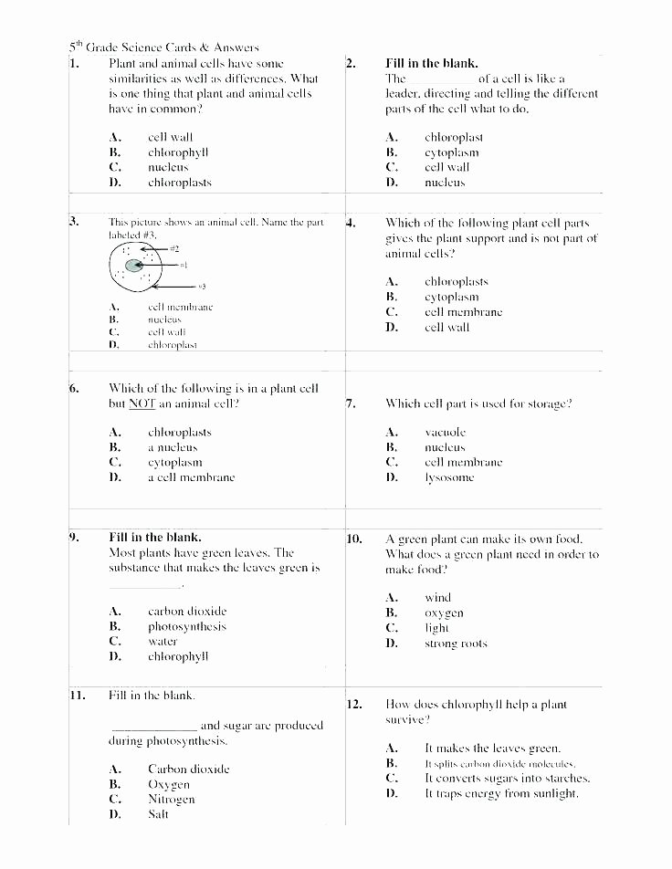 Free Printable Health Worksheets Fifth Grade Health Worksheets