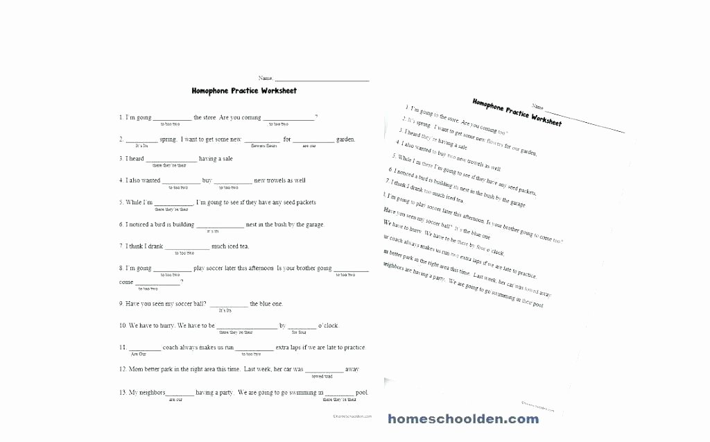 Free Printable Homophone Worksheets Homonyms Worksheets 4th Grade