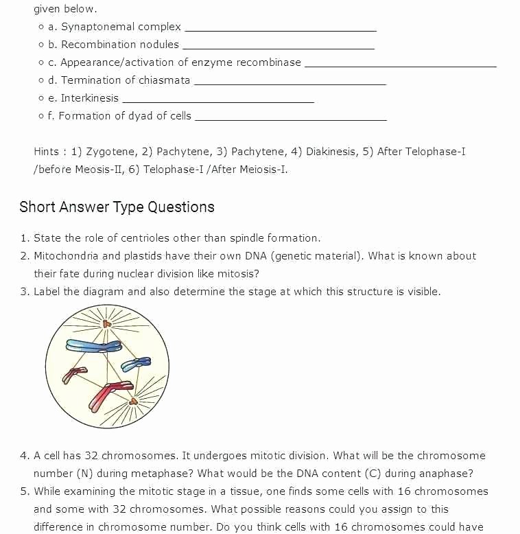 Free Printable Human Anatomy Worksheets Bo S Water Worksheets Inspirational Body Systems