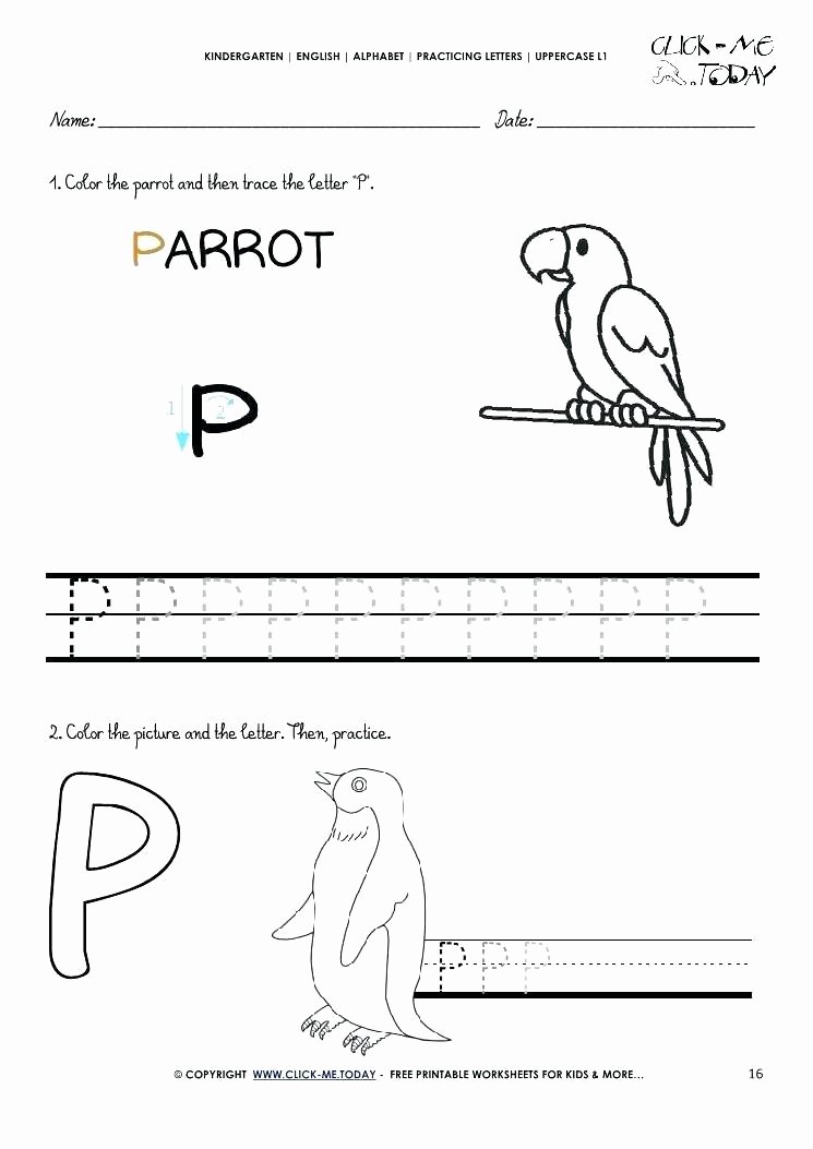 Free Printable Letter P Worksheets Alphabet Handwriting Worksheets A to Z