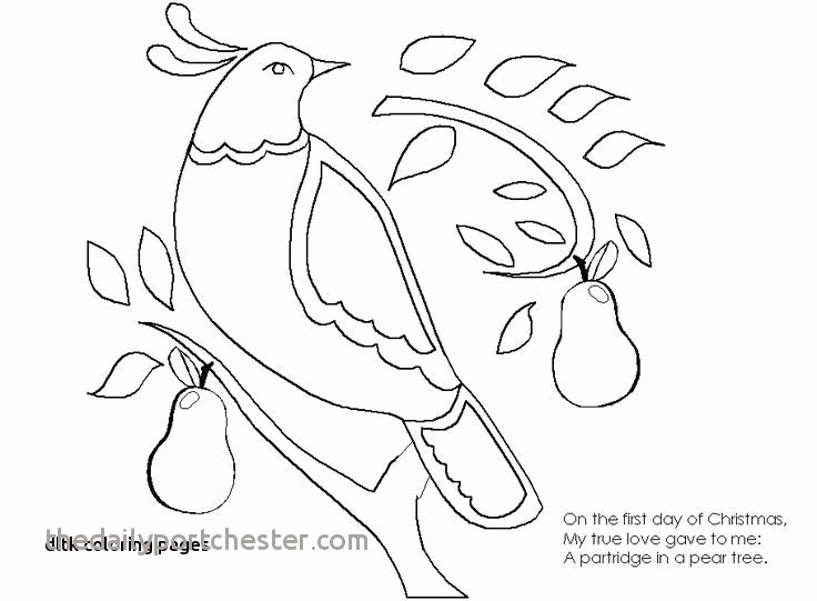 Fruit Colouring Pages Pear Fruit Coloring Pages Inspirational Coloring Pages Love
