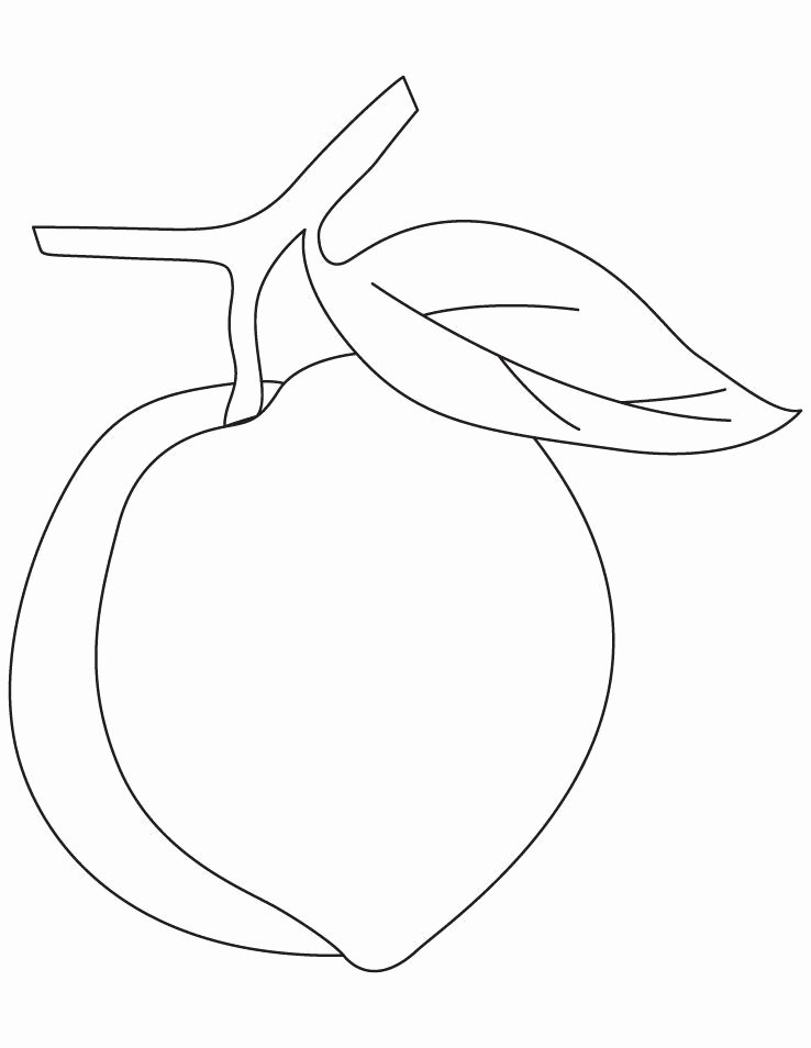 Fruits and Vegetables Worksheets Best Preschool Fruits and Ve Ables Coloring Pages
