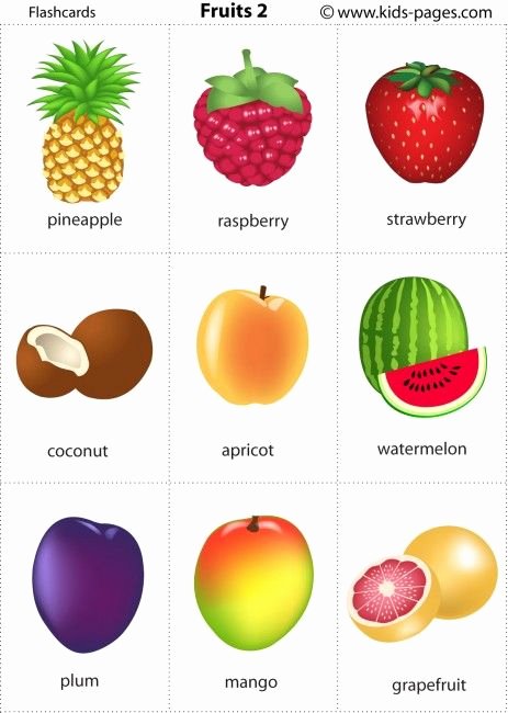 Fruits and Vegetables Worksheets Pdf Pinterest