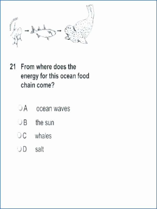 Functional Maths Worksheets Grade Science Worksheets Awesome forces Motion Worksheet