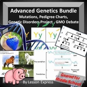 Genetic Traits Worksheet Inspirational Genetics Bundle Mendelian and Nonmendelian Punnett Squares