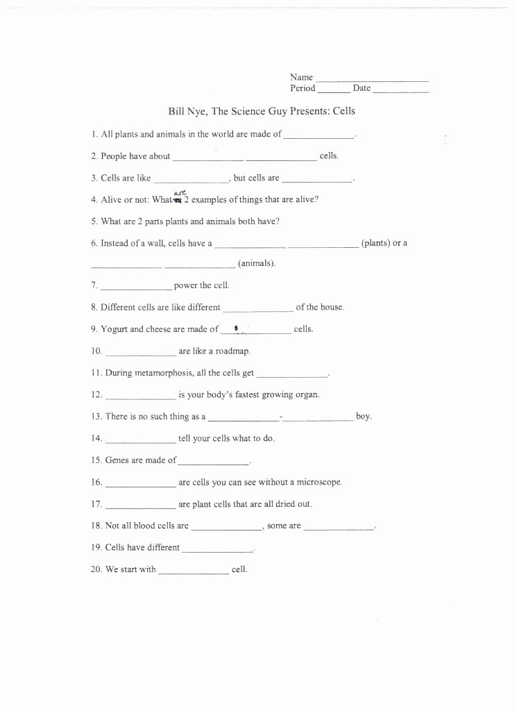 Genetic Traits Worksheet Lovely Free Printable Worksheets for Grade 5 Mental Math