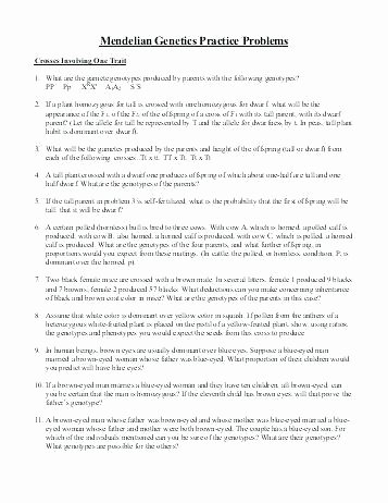 Genetics and Heredity Worksheet Awesome Genetics Practice Problems Worksheets – Petpage