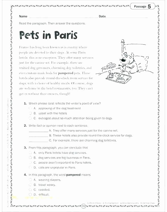 Genre Worksheets 4th Grade Pov Worksheets Point View Freebie for Person Person Pov