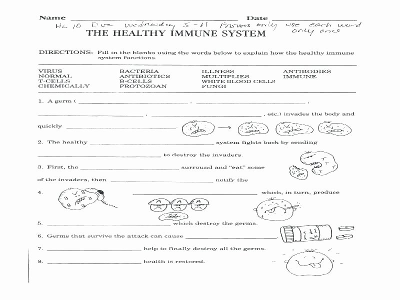 Germ Worksheets for First Grade Science Worksheets for Grade 1 Healthy Food Food for Health