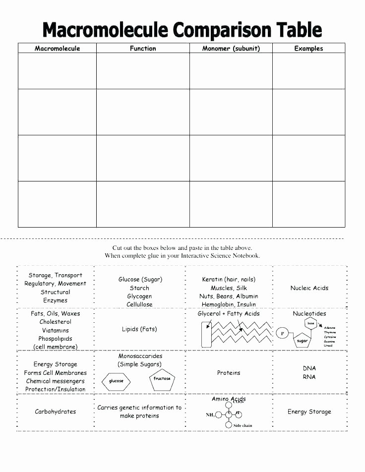 Grammar Worksheets Parallelism Answers Best Of forensic Science Worksheets