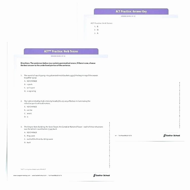 Grammatical Error Worksheets Free Printable Act Practice Worksheets