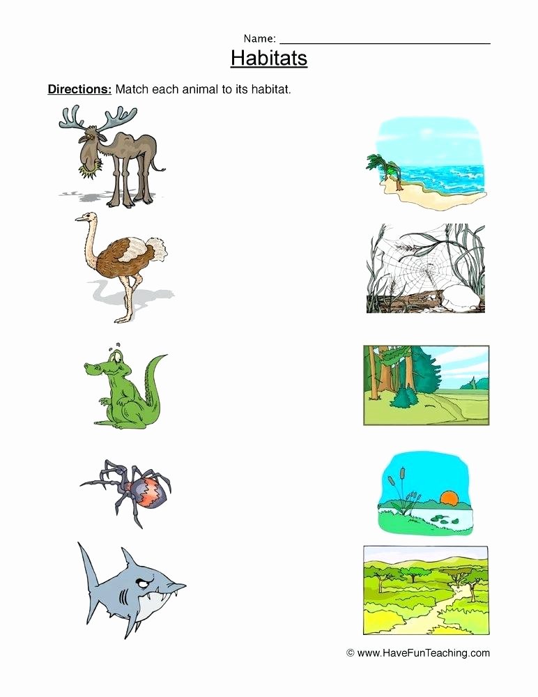 Habitat Worksheets for 1st Grade Animals In their Habitats Worksheets