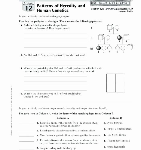 Heredity Traits Worksheets Awesome Genes and Chromosomes Worksheet Answers