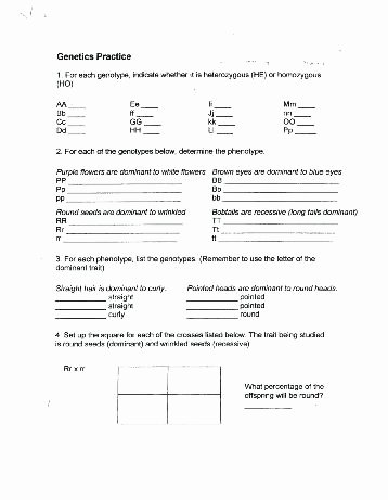 Heredity Traits Worksheets Inspirational Genetics Practice Problems Worksheets – Petpage