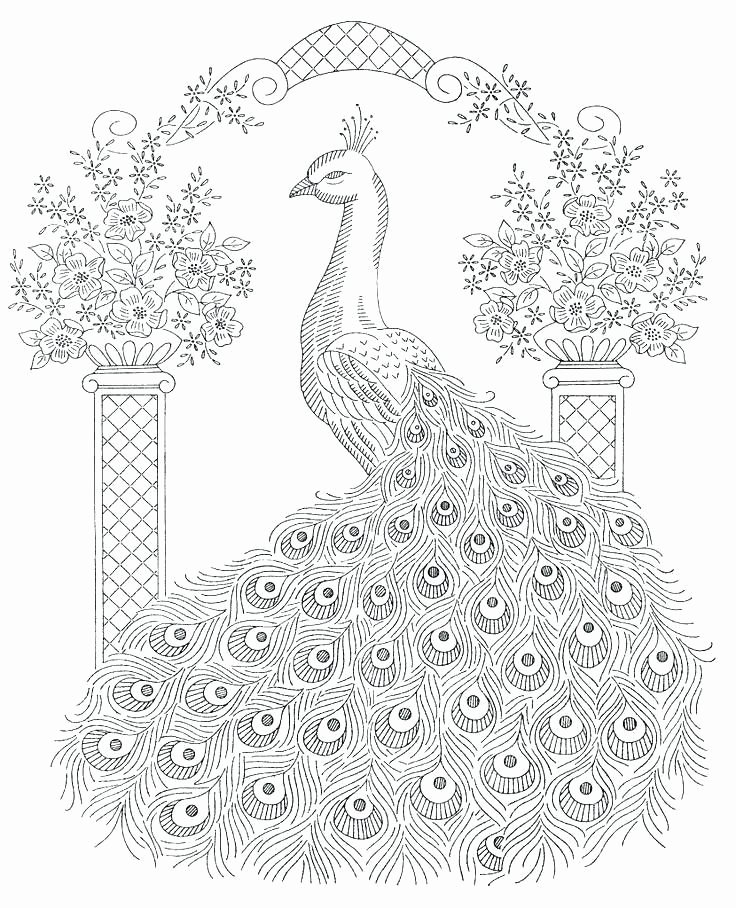 Hibernation Coloring Page Elegant Peacock butterfly Coloring Pages – Tintuc247