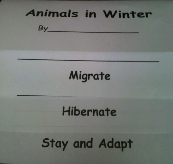Hibernation Coloring Page Here S A Template for Students to Create A Flip Book On How