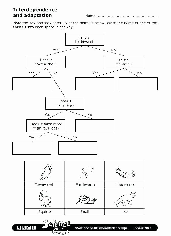 Hibernation Worksheets for Kindergarten Hibernation Worksheets for First Grade – Spieleaffefo