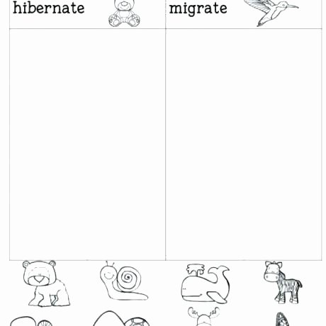 Hibernation Worksheets for Kindergarten Hibernation Worksheets for Kindergarten I Also Included some