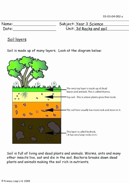 Hidden Animal Pictures Worksheets soil Layers Worksheet Rocks and Minerals Worksheets 3rd