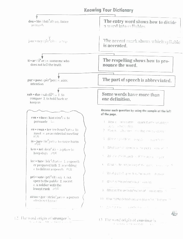 Homographs and Homophones Worksheets Homonyms Worksheets Middle School