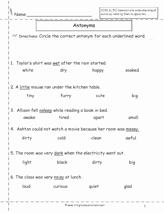 Homographs Worksheet 3rd Grade Homonyms Worksheets for Third Grade to Synonyms Antonyms