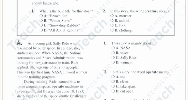 Homographs Worksheets with Answers Homophones Worksheets for Grade 3 with Answers Homonyms