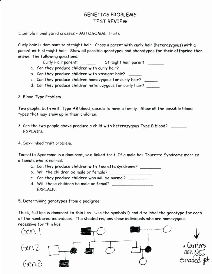 Homophone Worksheet 4th Grade Homophones Worksheet Pdf Lovely Homophone Worksheets – 7th