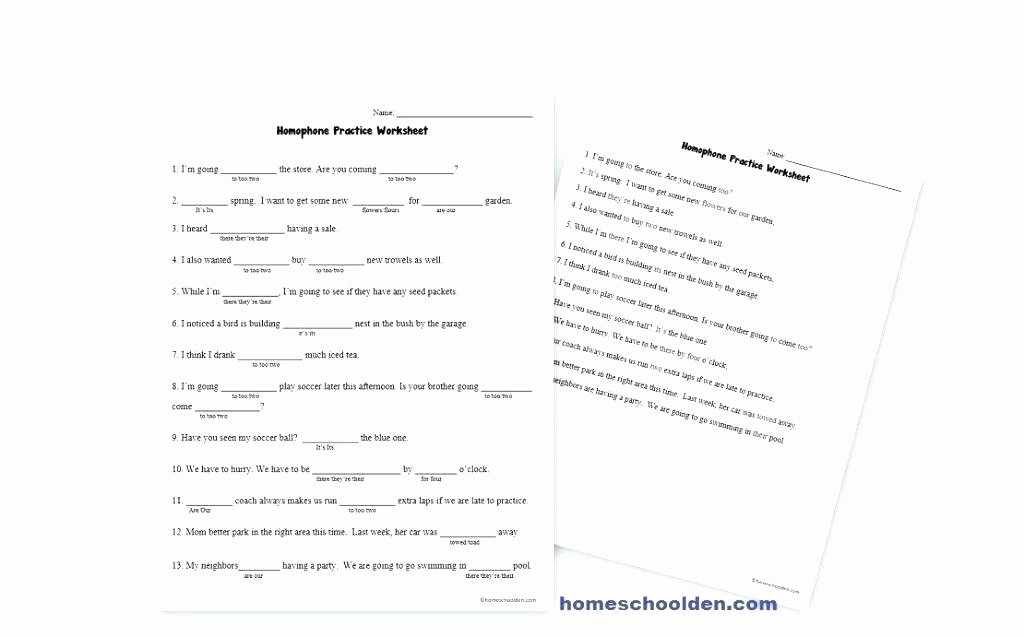 Homophone Worksheet 4th Grade their there they Re Worksheets