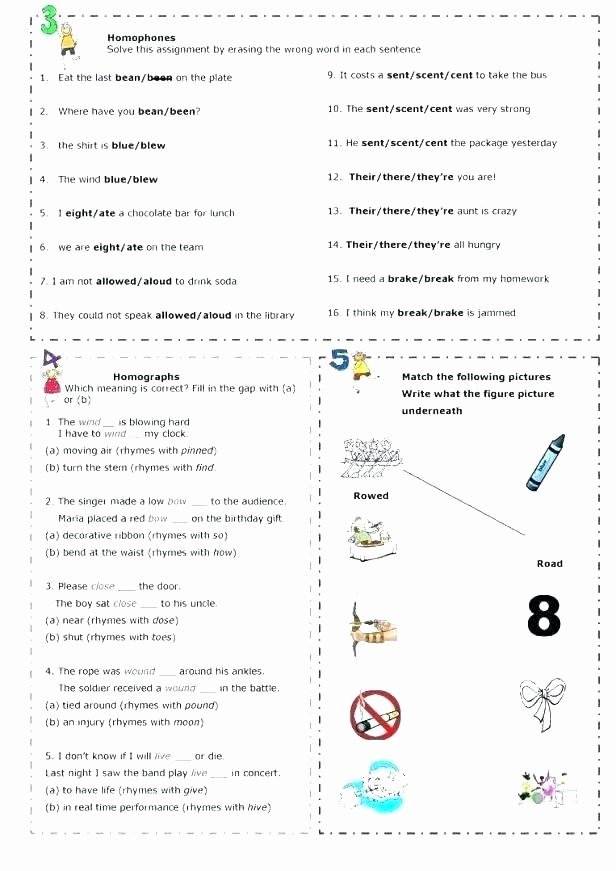 Homophone Worksheet 4th Grade there and their Worksheets