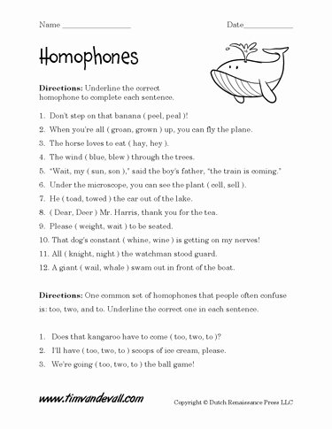 Homophones Worksheet 5th Grade Language Arts Printables