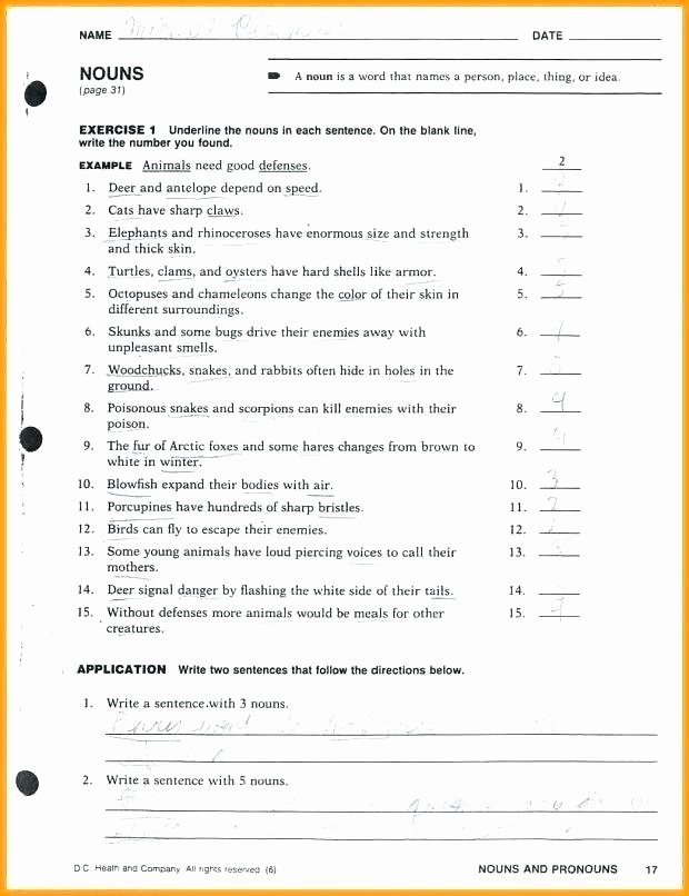 Homophones Worksheet 6th Grade 6th Grade Grammar Worksheets