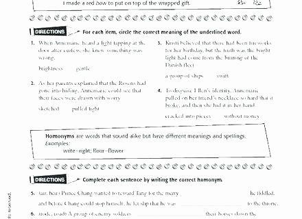 Homophones Worksheet High School Printable Homophone Worksheets