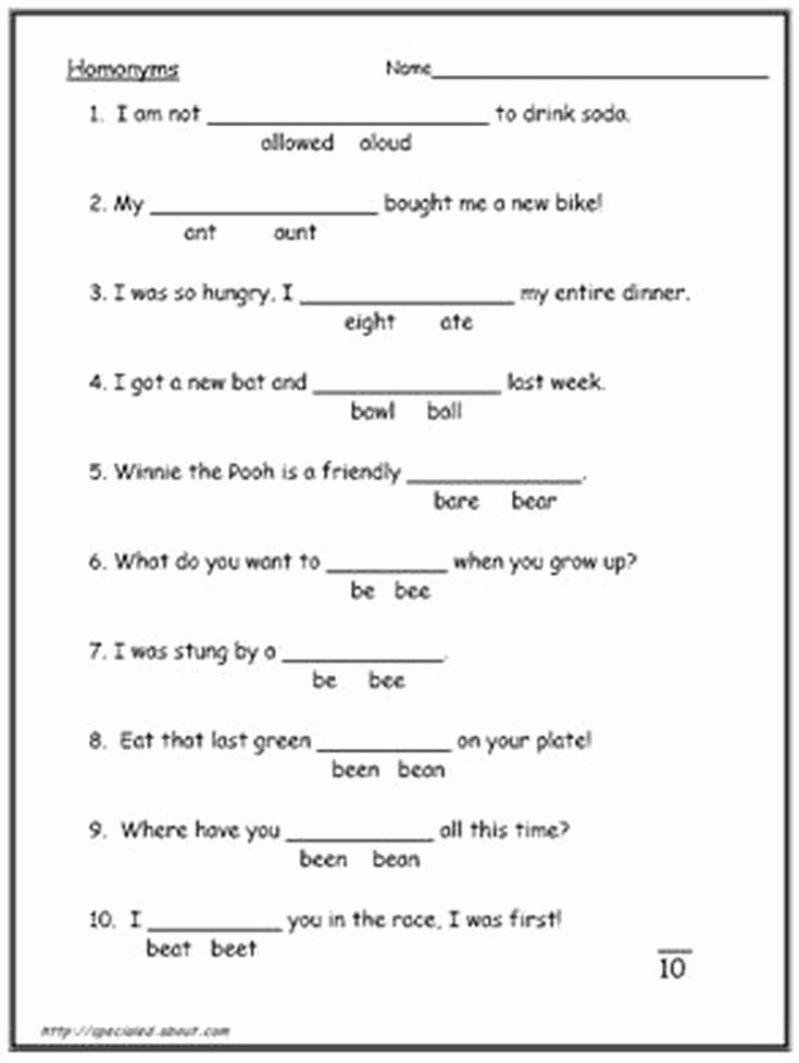 Homophones Worksheets 2nd Grade Homonyms Homophone Worksheets