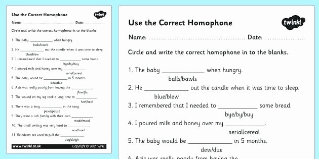 Homophones Worksheets 2nd Grade Printable Homophone Worksheets