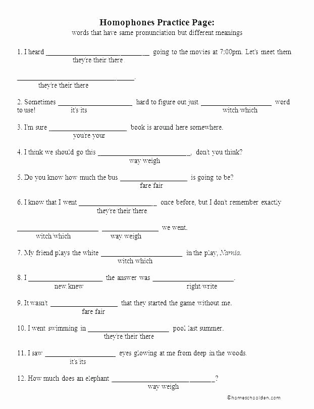 Homophones Worksheets for Grade 2 Homonyms Sentences Worksheets
