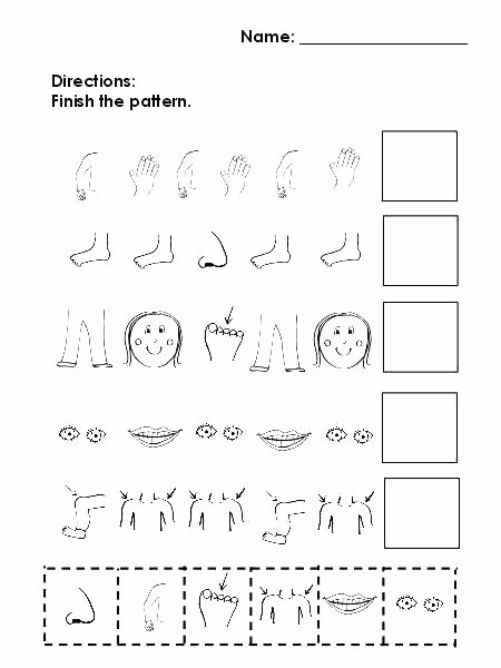 Human Body for Kids Worksheets Human Body Worksheets for Kids Parts the Body Worksheets