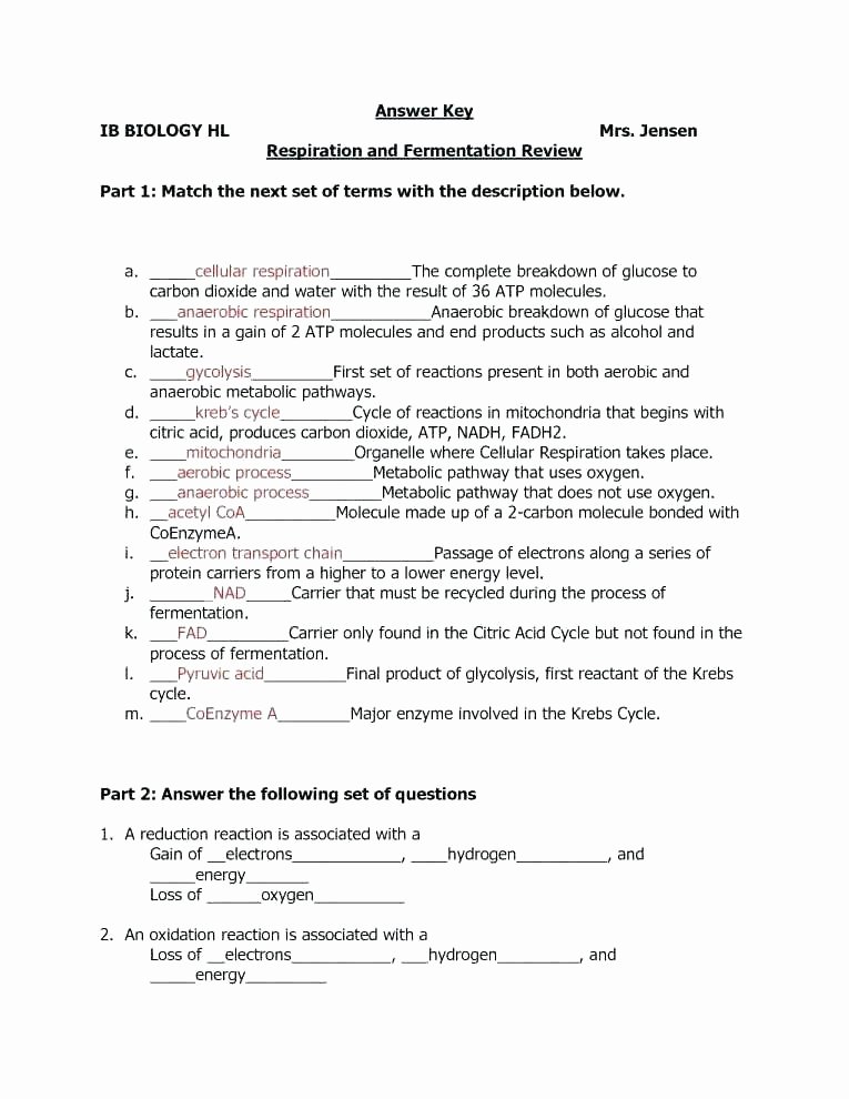 Human Body Systems Matching Worksheet Body Systems Worksheets Answers