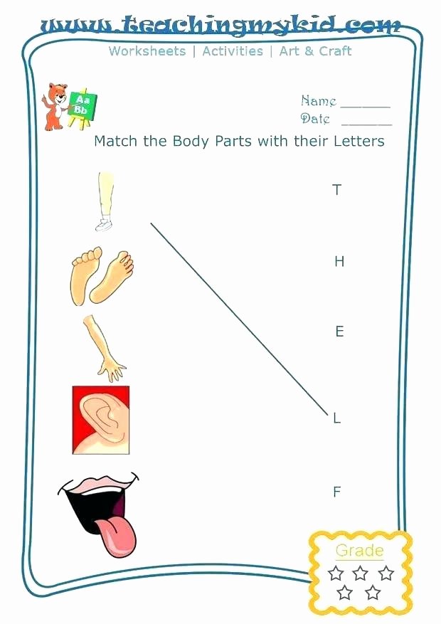 Human Body Systems Matching Worksheet Free Printable Worksheets Preschool Body Parts