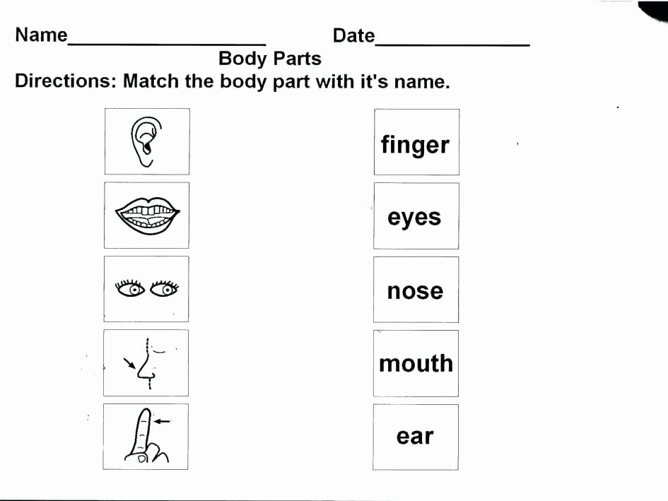 Human Body Worksheets Middle School Human Body Activities for Kids Main Ideas Worksheets for