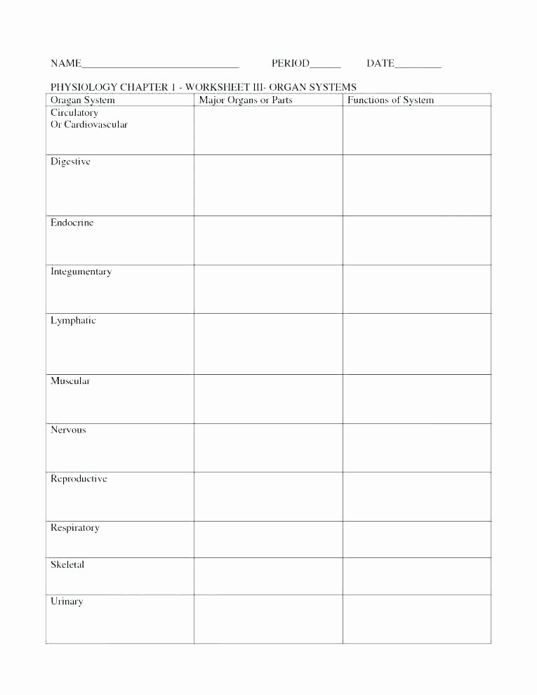 Human Body Worksheets Middle School Muscular System Worksheet Best Human Body Systems