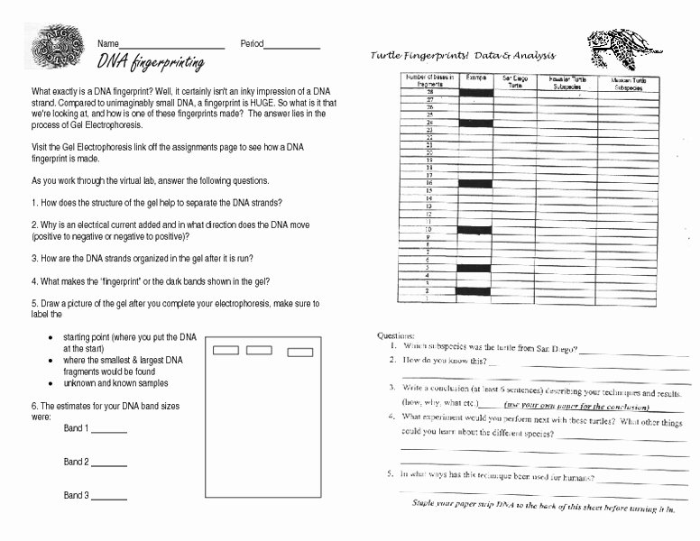 Inherited Traits Worksheet Beautiful Kindergarten Worksheets – Page 3 – 7th Grade Math Worksheets