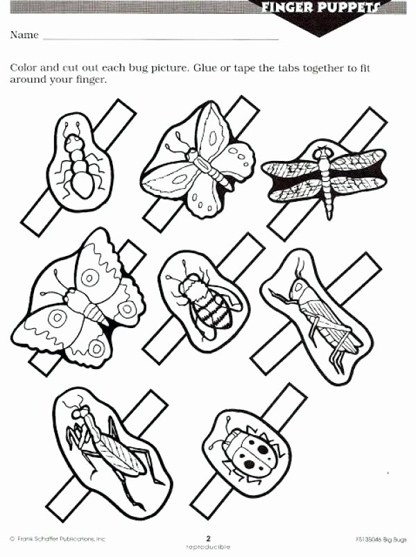 Insect Worksheets for First Grade Free Insect Worksheets