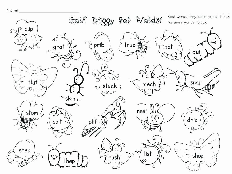Insect Worksheets for First Grade Insect Worksheets for 2nd Grade Kindergarten Gallery Free