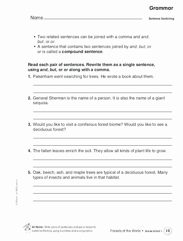 Insect Worksheets for Preschoolers Grammar Worksheets Middle School Math for Preschool Free