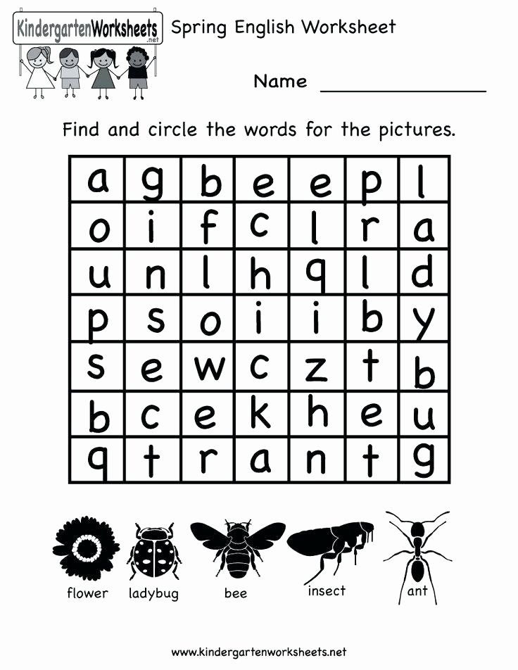 Insect Worksheets for Preschoolers Letter Writing formal Worksheets for Grade 5 Informal Full