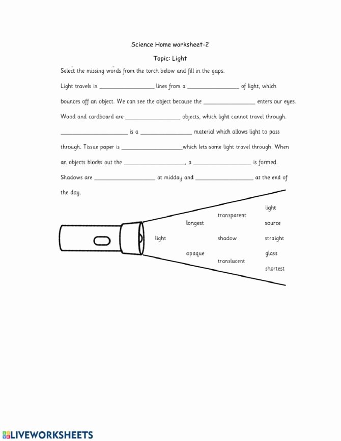 Integrated Science Cycles Worksheet Answers New Interactive Science Worksheets Pearson Grade Worksheet